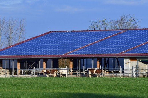 A 25KW Perfect Solar System For Cow Shed